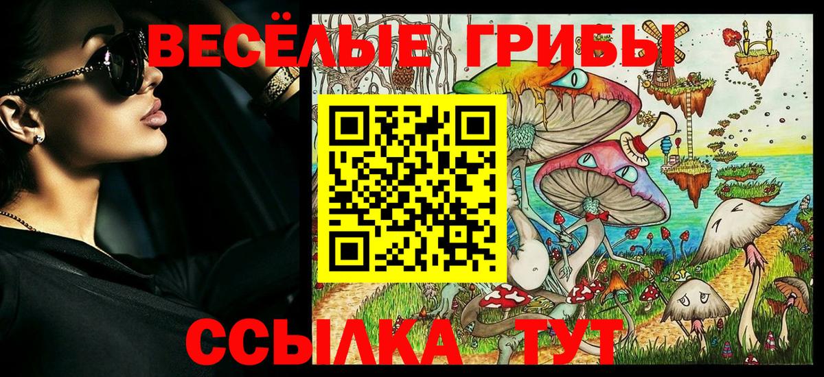 Клинцы  Псилоцибиновые грибы мицелий  магазин    Вход с VPN  Галлюциногенные грибы ЛСД 
