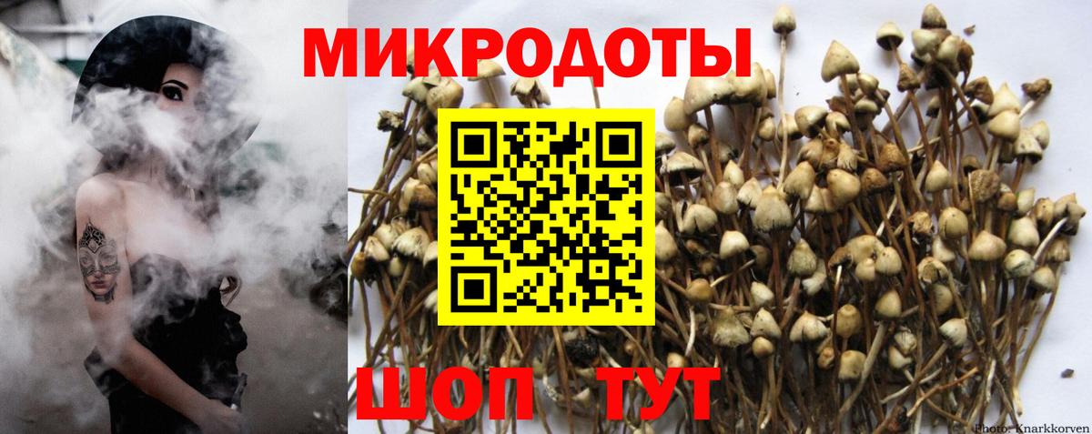 Псилоцибиновые грибы прущие грибы Клинцы